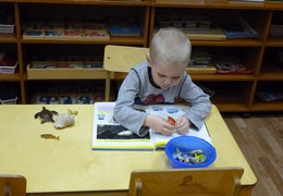 Окружающий мир