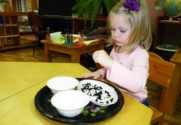 Окружающий мир