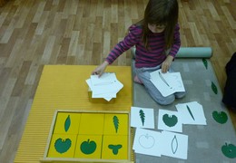 Окружающий мир