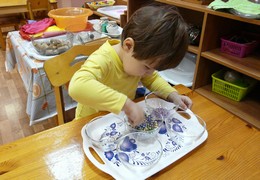 Окружающий мир